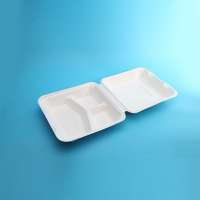 Compostable Materials Environmentally Friendly Biodegradable Eco Degradable Disposable Tableware