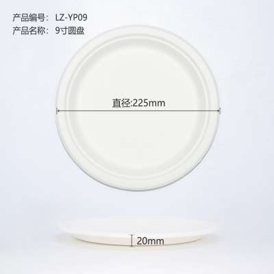 2020 Disposable Party tableware