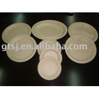 Disposable Party Tableware