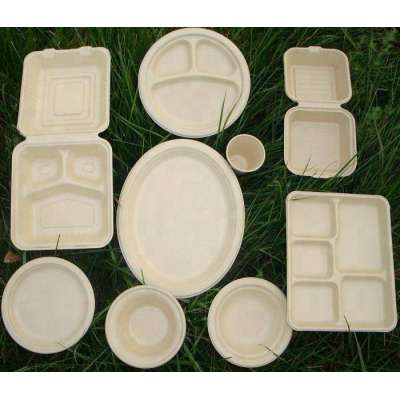 unbleached biodegradable compostable eco disposable sugarcane bagasse bamboo pulp plate tray bowl hinged box