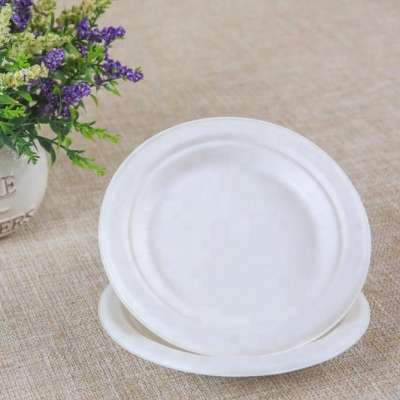 sugarcane bagasse disposable biodegradable paper plate