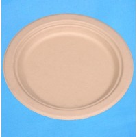 disposable high quality and bamboo 9 inches paper tableware