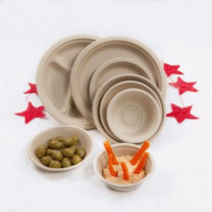 paper tableware