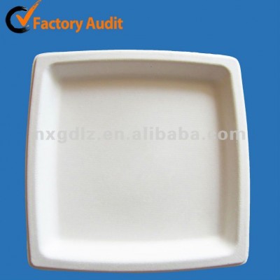 bagasse square plate