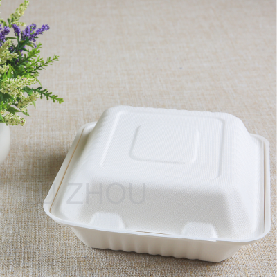 Divided sugarcane bagasse  Hinged Take Out Container PLA coated made in china Pulp 8*8inch