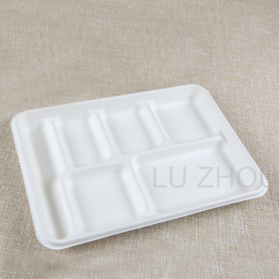 completely compostable eco-friendly food tray 6 division disposable tray sugarcane bagasse moulded pulp