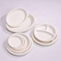 Bagasse packaging Eco friendly Biodegradable Bagasse Round Plate 6 inch plate